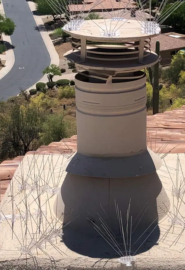 Stainless steel bird spikes around a chimney cap