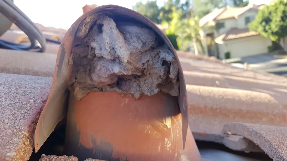 $25 off dryer vent cleaning
