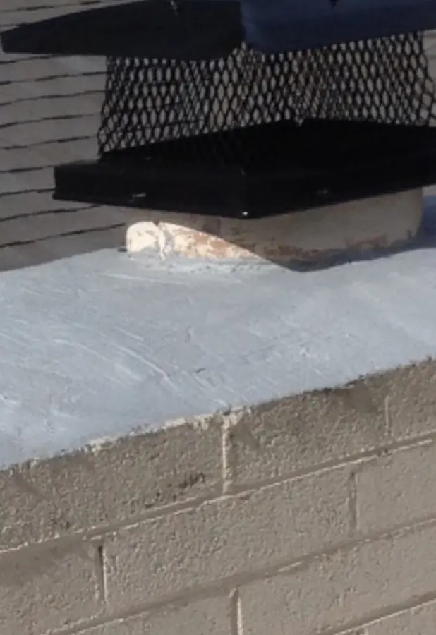 Freshly sealed chimney crown with a new cap