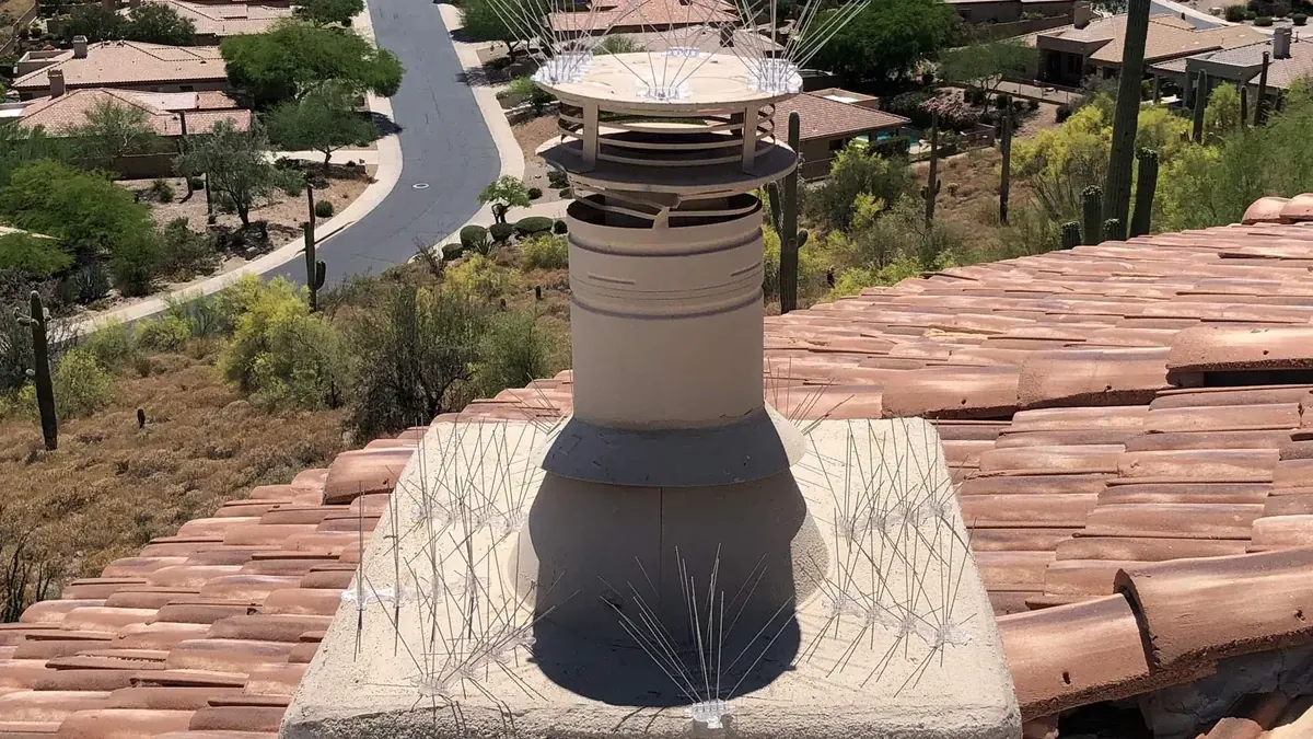 Stainless steel bird spikes installed around a chimney cap