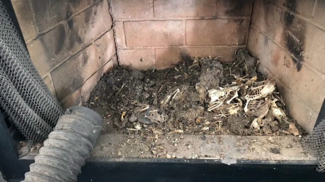 Chimney-Cleaning-4