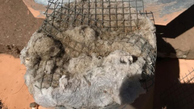 Dryer-Vent-Cleaning-2