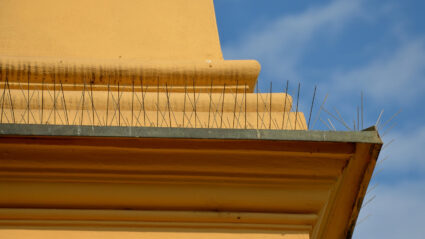 bird-spikes-chimney-Phoenix